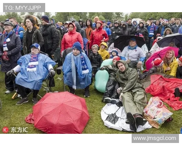冰岛与意大利足球赛激战正酣球迷期待精彩对决与历史交锋