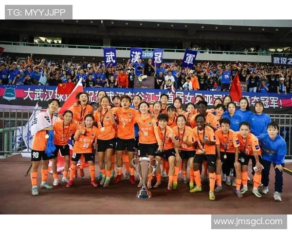 西悉尼对决首尔激情碰撞期待一场精彩的亚冠大战