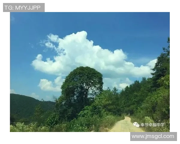 魔术与太阳比赛大小分分析及投注建议探讨